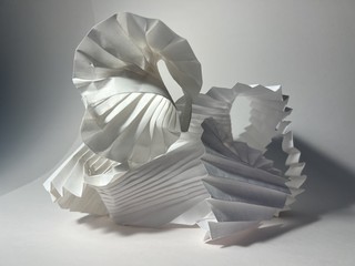 Work by Emma Nakaoka, TeenArch 2023