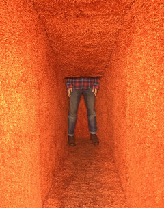 An installation of an orange carpet corridor that collapses as it is traversed, shows the lower half of a man standing immersed in the architecture.