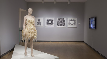 Image of model in exhibition wearing 3D printed dress