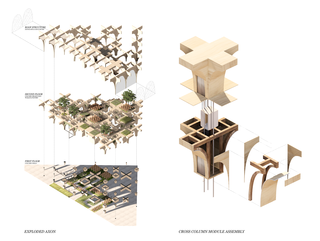 Student work from the winter 2021 Building Design Studio