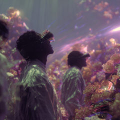 Perceptual Experiences