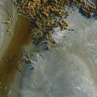 Aerial photograph of dried lake bed. Blue pigmentation appears in most of the image with the top of the photograph capturing vegetative-like growth that appears to be grass and shrubs. A brown vein of pigment cuts diagonally from the bottom left of the image to the edge of the vegetation.